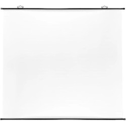 Экран Cactus 150x150см Map type CS-PSRM-150x150-BK 1:1 настенно-потолочный рулонный черный