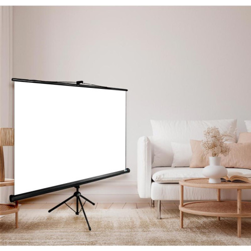 Экран Cactus 127x127см Triscreen CS-PST-127X127 1:1 напольный рулонный черный