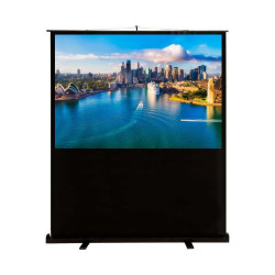 Экран Cactus 120x160см FloorCompactExpert CS-PSFLCE-160X120 4:3 напольный рулонный