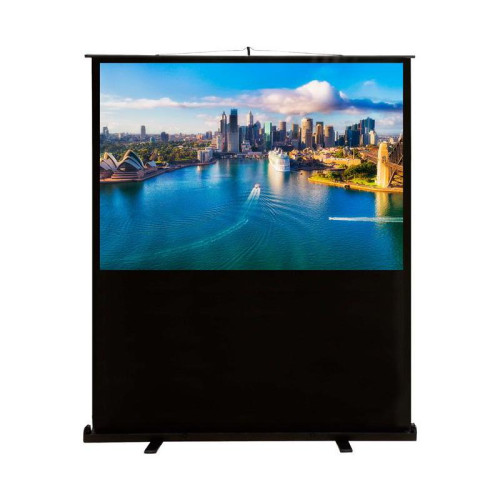 Экран Cactus 120x160см FloorCompactExpert CS-PSFLCE-160X120 4:3 напольный рулонный