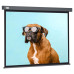 Экран Cactus 149.4x265.7см Wallscreen CS-PSW-149X265-SG 16:9 настенно-потолочный рулонный серый
