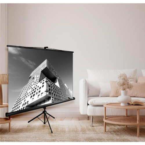 Экран Cactus 180x180см TriExpert CS-PSTE-180x180-BK 1:1 напольный рулонный черный