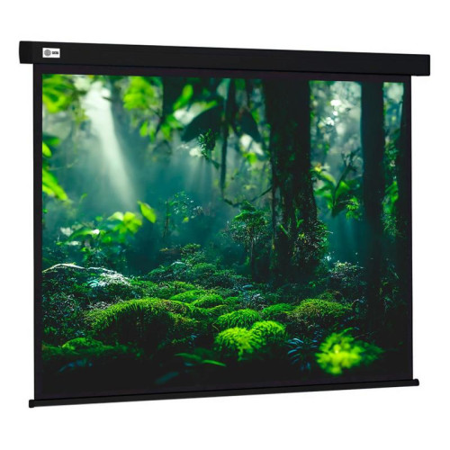 Экран Cactus 213x213см Wallscreen CS-PSW-213X213-BK 1:1 настенно-потолочный рулонный черный