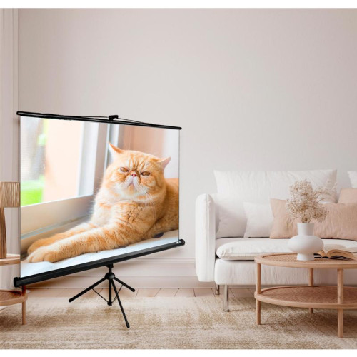 Экран Cactus 127x127см Triscreen CS-PST-127X127 1:1 напольный рулонный черный