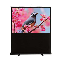 Экран Cactus 90x120см FloorCompactExpert CS-PSFLCE-120X90 4:3 напольный рулонный