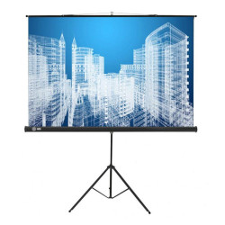 Экран Cactus 104.4x186см Triscreen CS-PST-104x186 16:9 напольный рулонный черный
