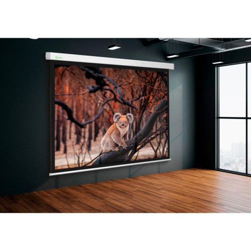 Экран Cactus 168x299см Wallscreen CS-PSW-168x299 16:9 настенно-потолочный рулонный белый