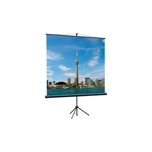 Экран на треноге Lumien 200x200см Eco View LEV-100103 1:1 напольный рулонный