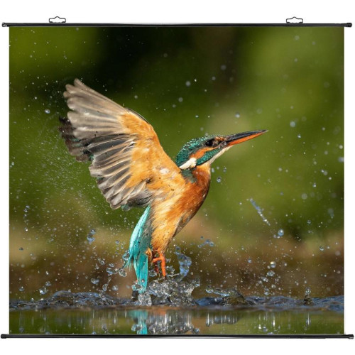 Экран Cactus 150x150см Map type CS-PSRM-150x150-BK 1:1 настенно-потолочный рулонный черный