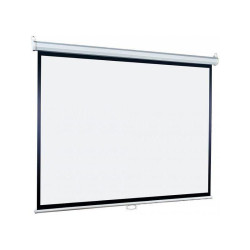 Экран Lumien 203x203см Eco Picture LEP-100109 1:1 настенно-потолочный рулонный