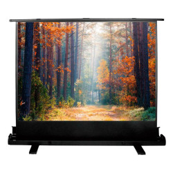 Экран Cactus 135x180см FloorExpert CS-PSFLE-180X135 4:3 напольный рулонный