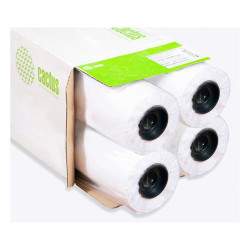 Бумага Cactus Eco CS-LFP80-610457E-4 24