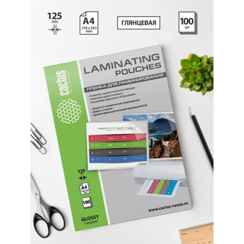 Пленка для ламинирования Cactus 125мкм A4 (100шт) глянцевая 216x303мм CS-LPGA4125100
