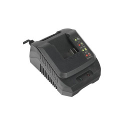 Зарядное устройство Patriot GL 210 (180301002)