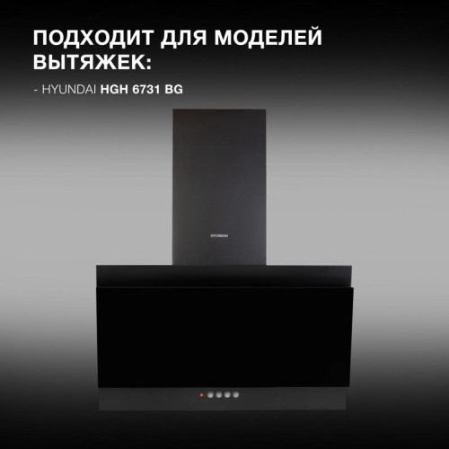 Комплект фильтров Hyundai HCF 00 черный (2шт.)