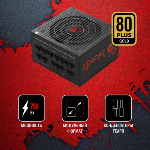 Блок питания Bloody ATX 750W BD-PS750G 80+ gold (20+4pin) APFC 120mm fan 6xSATA Cab Manag RTL [BD-PS750G-M]