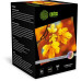 Фотобумага Cactus Prof CS-HGA6260500 A6/260г/м2/500л./белый глянцевое для струйной печати Фотобумага Cactus Prof CS-HGA6260500 A6/260г/м2/500л./белый глянцевое для струйной печати