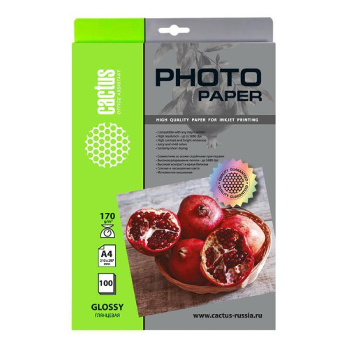 Фотобумага Cactus CS-GA4170100 A4/170г/м2/100л./белый глянцевое для струйной печати