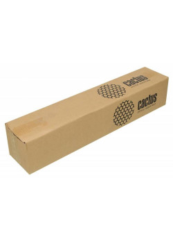 Бумага Cactus CS-PP230-61030 24