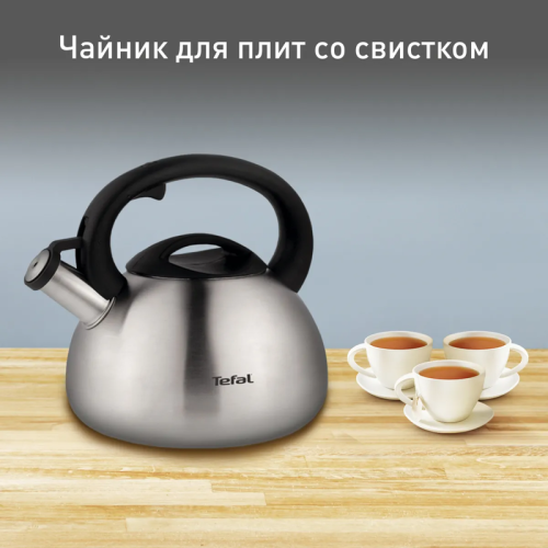 Чайник металлический со свистком TEFAL/ 2100093085