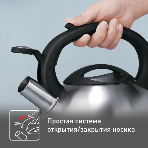 Чайник металлический со свистком TEFAL/ 2100093085