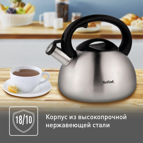 Чайник металлический со свистком TEFAL/ 2100093085