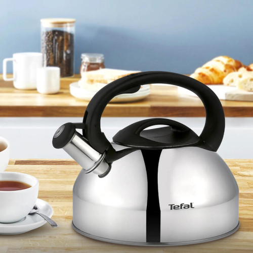 Чайник металлический со свистком TEFAL/ 2100093086 Чайник металлический со свистком TEFAL/ 2100093086