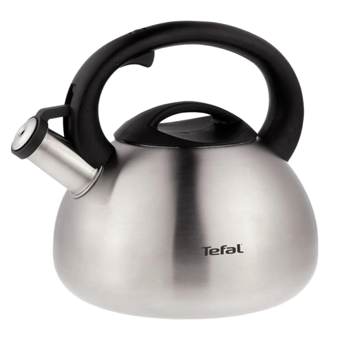 Чайник металлический со свистком TEFAL/ 2100093085