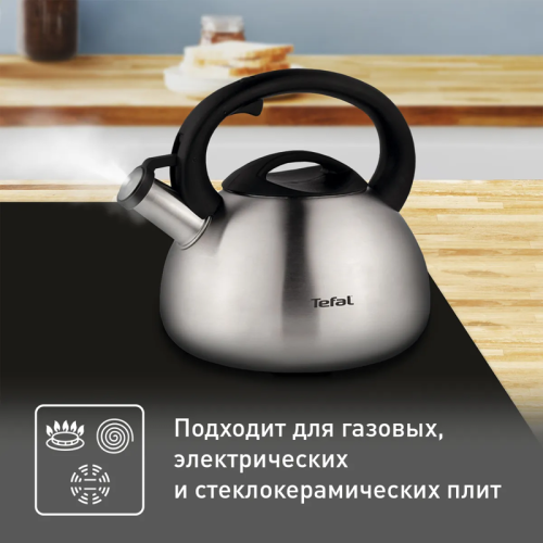 Чайник металлический со свистком TEFAL/ 2100093085