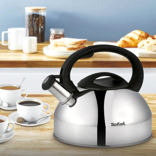 Чайник металлический со свистком TEFAL/ 2100093086 Чайник металлический со свистком TEFAL/ 2100093086