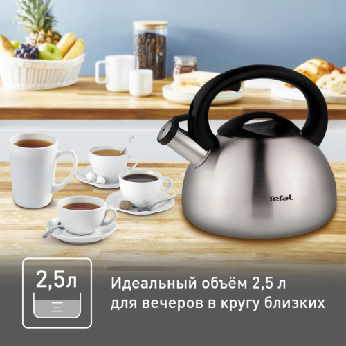 Чайник металлический со свистком TEFAL/ 2100093085