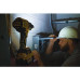 Дрель-шуруповерт DeWalt DCD996P2-QW аккум. патрон:быстрозажимной (кейс в комплекте)