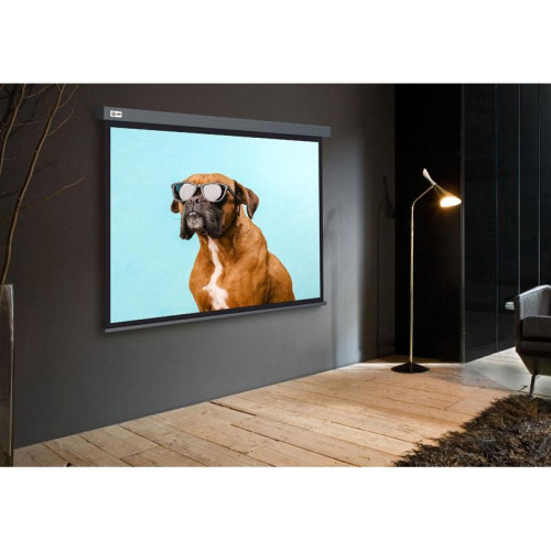 Экран Cactus 149.4x265.7см Wallscreen CS-PSW-149X265-SG 16:9 настенно-потолочный рулонный серый Экран Cactus 149.4x265.7см Wallscreen CS-PSW-149X265-SG 16:9 настенно-потолочный рулонный серый