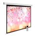 Экран Cactus 220x220см MotoExpert CS-PSME-220x220-WT 1:1 настенно-потолочный рулонный белый (моторизованный привод)