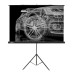 Экран Cactus 124.5x221см Triscreen CS-PST-124x221 16:9 напольный рулонный черный Экран Cactus 124.5x221см Triscreen CS-PST-124x221 16:9 напольный рулонный черный