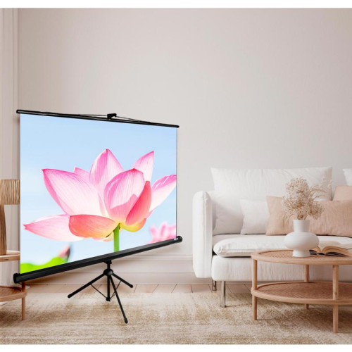 Экран Cactus 104.4x186см Triscreen CS-PST-104x186 16:9 напольный рулонный черный