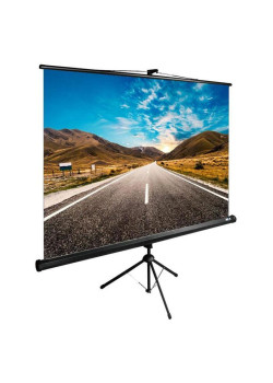 Экран Cactus 160x160см TriExpert CS-PSTE-160x160-BK 1:1 напольный рулонный черный