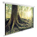 Экран Cactus 220x220см WallExpert CS-PSWE-220x220-WT 1:1 настенно-потолочный рулонный Экран Cactus 220x220см WallExpert CS-PSWE-220x220-WT 1:1 настенно-потолочный рулонный