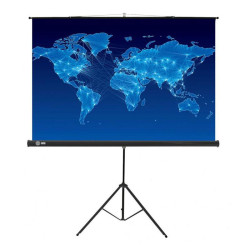 Экран Cactus 150x150см Triscreen CS-PST-150x150 1:1 напольный рулонный черный