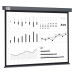 Экран Cactus 180x180см Wallscreen CS-PSW-180X180-SG 1:1 настенно-потолочный рулонный серый