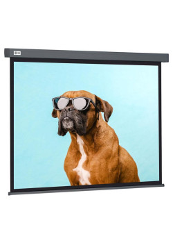 Экран Cactus 149.4x265.7см Wallscreen CS-PSW-149X265-SG 16:9 настенно-потолочный рулонный серый