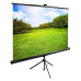 Экран Cactus 150x200см TriExpert CS-PSTE-200x150-BK 4:3 напольный рулонный черный Экран Cactus 150x200см TriExpert CS-PSTE-200x150-BK 4:3 напольный рулонный черный