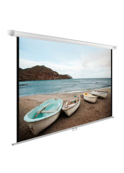 Экран Cactus 138x220см WallExpert CS-PSWE-220x138-WT 16:10 настенно-потолочный рулонный белый