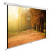 Экран Cactus 125x200см WallExpert CS-PSWE-200x125-WT 16:10 настенно-потолочный рулонный Экран Cactus 125x200см WallExpert CS-PSWE-200x125-WT 16:10 настенно-потолочный рулонный