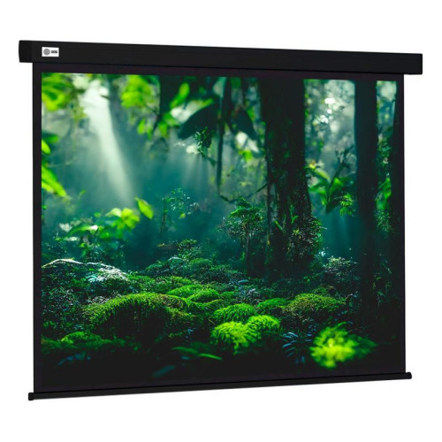 Экран Cactus 213x213см Wallscreen CS-PSW-213X213-BK 1:1 настенно-потолочный рулонный черный