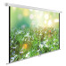 Экран Cactus 200x200см WallExpert CS-PSWE-200x200-WT 1:1 настенно-потолочный рулонный Экран Cactus 200x200см WallExpert CS-PSWE-200x200-WT 1:1 настенно-потолочный рулонный