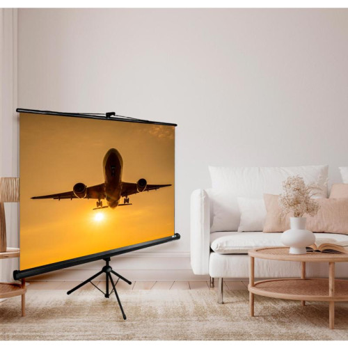 Экран Cactus 124.5x221см Triscreen CS-PST-124x221 16:9 напольный рулонный черный Экран Cactus 124.5x221см Triscreen CS-PST-124x221 16:9 напольный рулонный черный