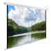 Экран Cactus 150x240см WallExpert CS-PSWE-240x150-WT 16:10 настенно-потолочный рулонный белый Экран Cactus 150x240см WallExpert CS-PSWE-240x150-WT 16:10 настенно-потолочный рулонный белый