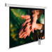 Экран Cactus 280x280см MotoExpert CS-PSME-280x280-WT 1:1 настенно-потолочный рулонный белый (моторизованный привод)