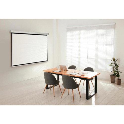 Экран Cactus 183x244см Motoscreen CS-PSM-183x244 4:3 настенно-потолочный рулонный (моторизованный привод)